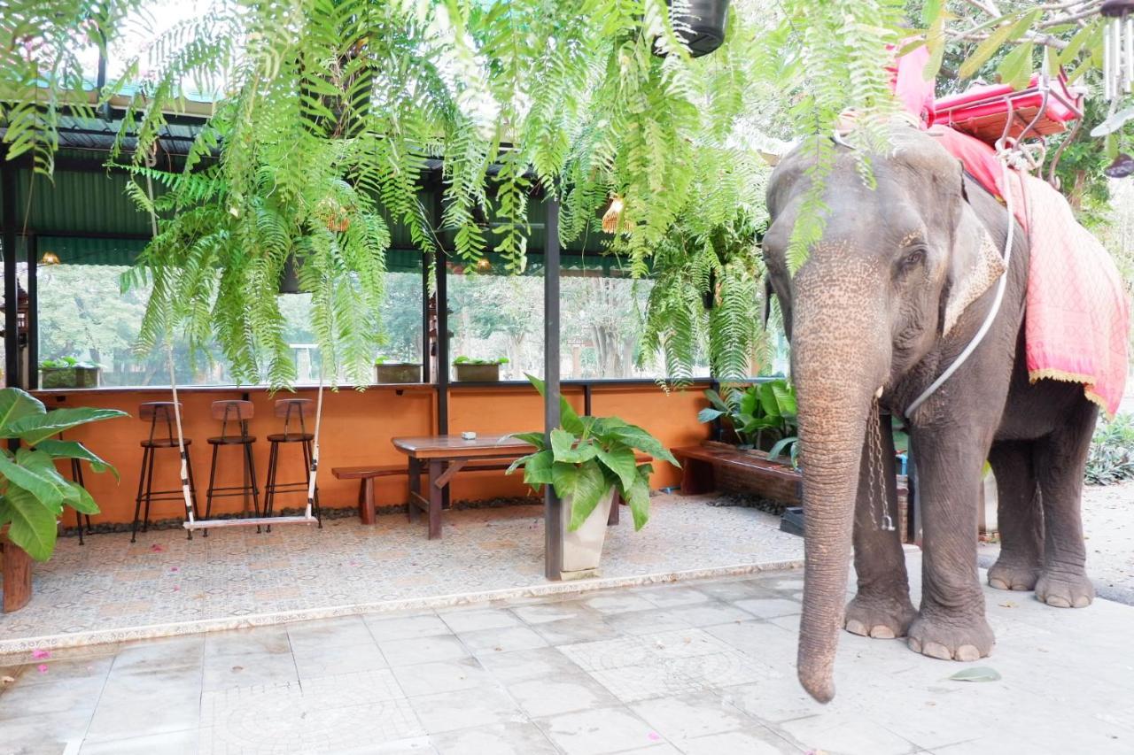 The Park Ayutthaya Resort And Spa Exteriör bild