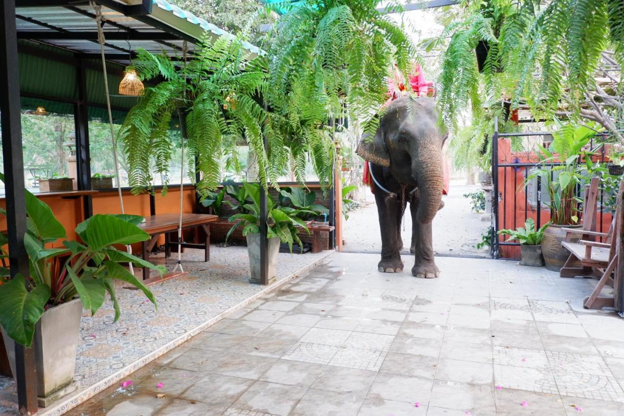 The Park Ayutthaya Resort And Spa Exteriör bild