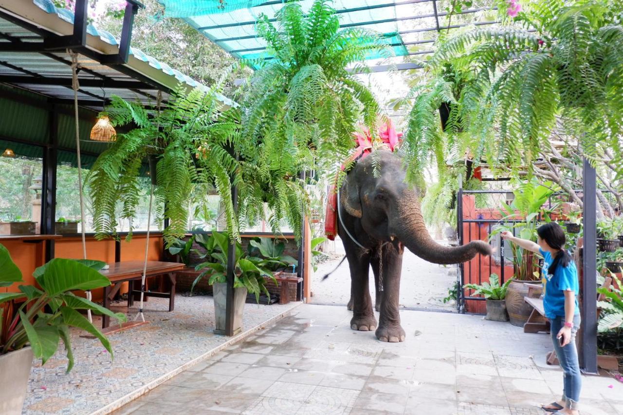The Park Ayutthaya Resort And Spa Exteriör bild