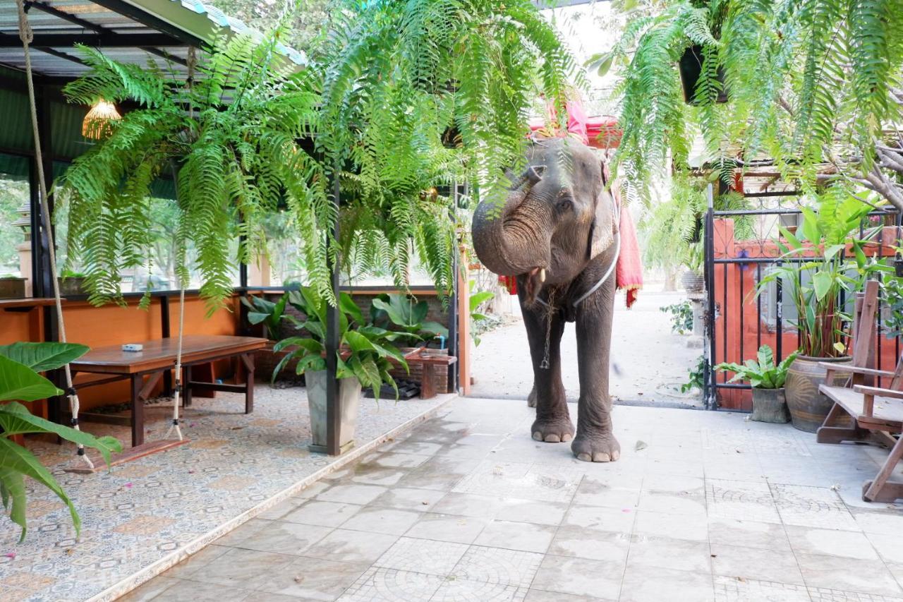 The Park Ayutthaya Resort And Spa Exteriör bild